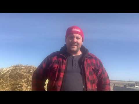 Канадский фермер — 102