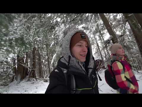 Зима пришла в Ванкувер. Поход в зимний лес! jug island trail.