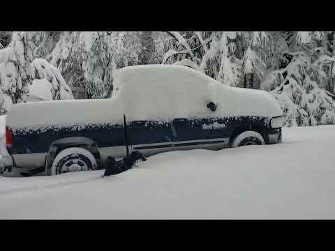 542#Alex​​-Дальнобой США..Снежный шторм в горах Калифорнии..2021..USA