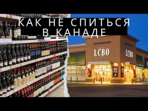 Алкоголь в Канаде | Обзор алкогольного магазина LCBO 🍾