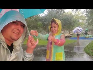 Почему  флоридские дети любят дождь ☔️