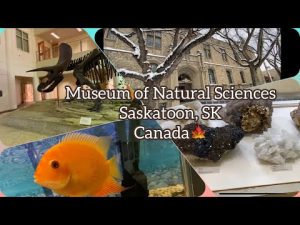 Саскатун, Саскачеван: Музей природничих наук. Університет Саскачевану в Канаді.