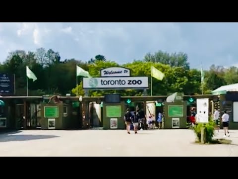 Какой он Канадский Зоопарк ❗️