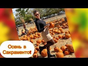 Vlog#402 | Осень в Сакраменто!