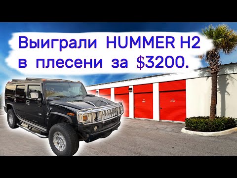 Выиграли Hummer H2 на аукционе за $3200. Утопленный в плесени.